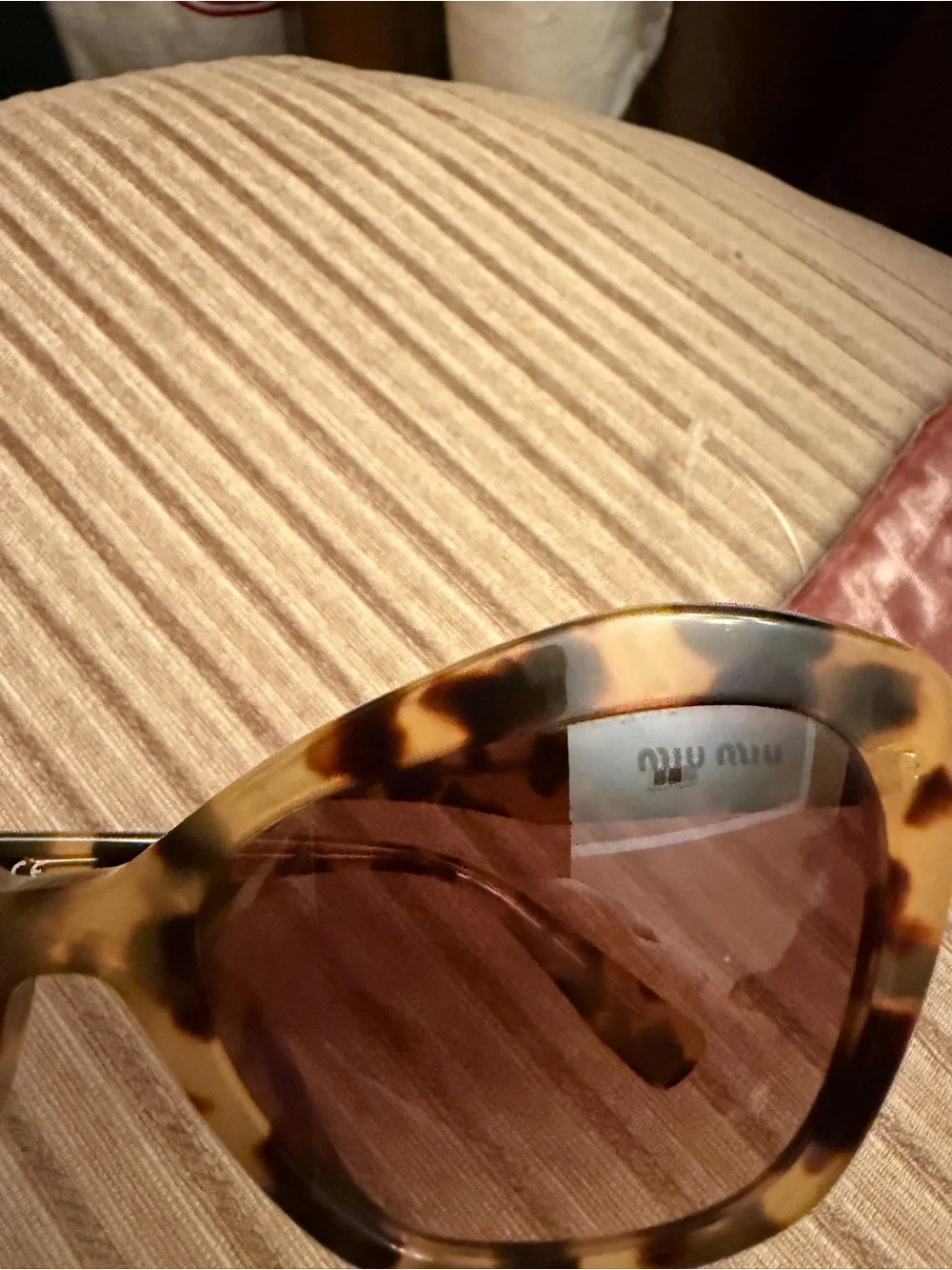 Miu Miu stylish miu